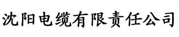 老司机污污污.apk应用电缆厂logo